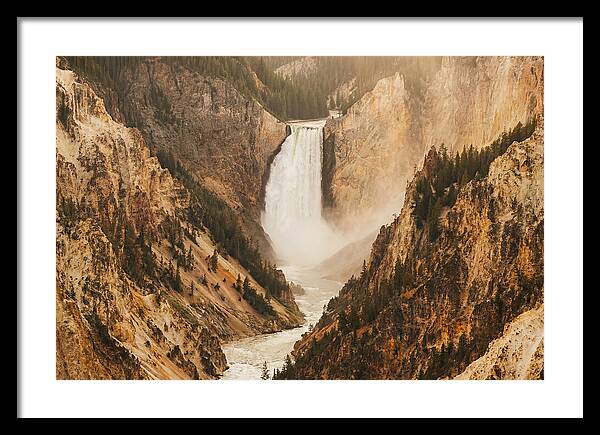 Lower Falls In Yellowstone