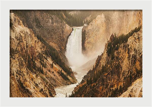 Lower Falls In Yellowstone