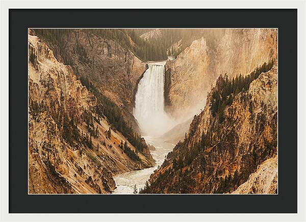 Lower Falls In Yellowstone