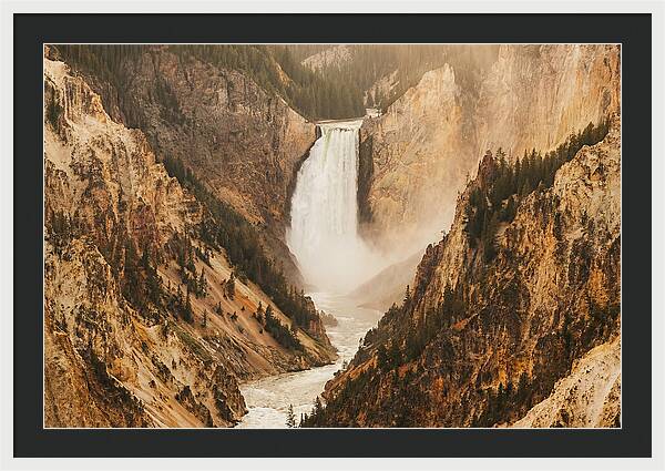 Lower Falls In Yellowstone