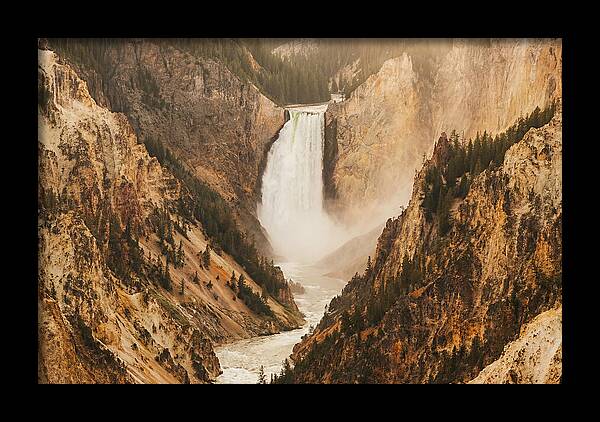 Lower Falls In Yellowstone