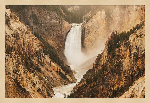 Lower Falls In Yellowstone