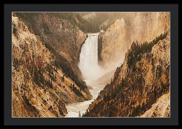 Lower Falls In Yellowstone