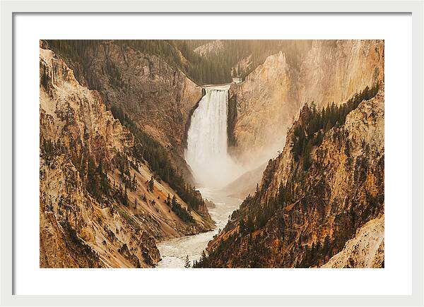 Lower Falls In Yellowstone