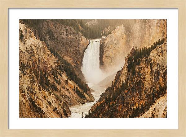 Lower Falls In Yellowstone