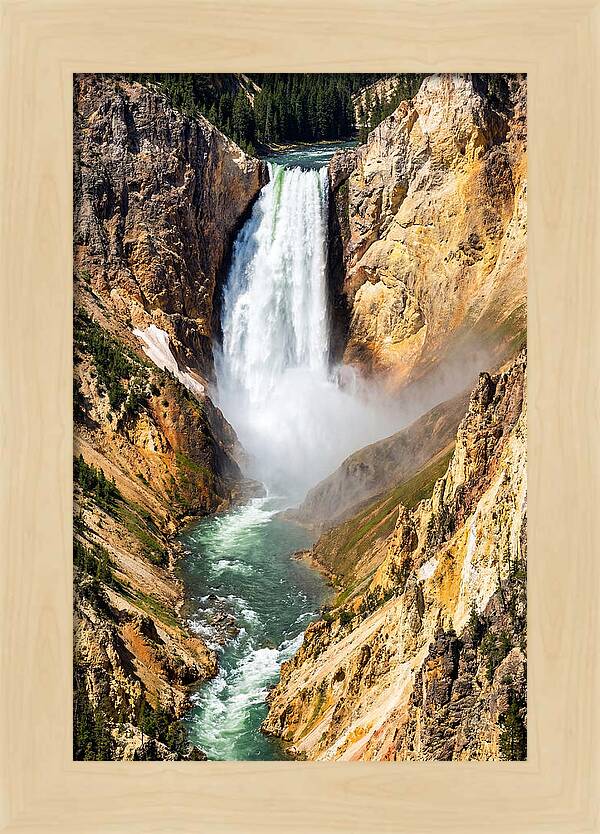 Lower Falls Of The Yellowstone