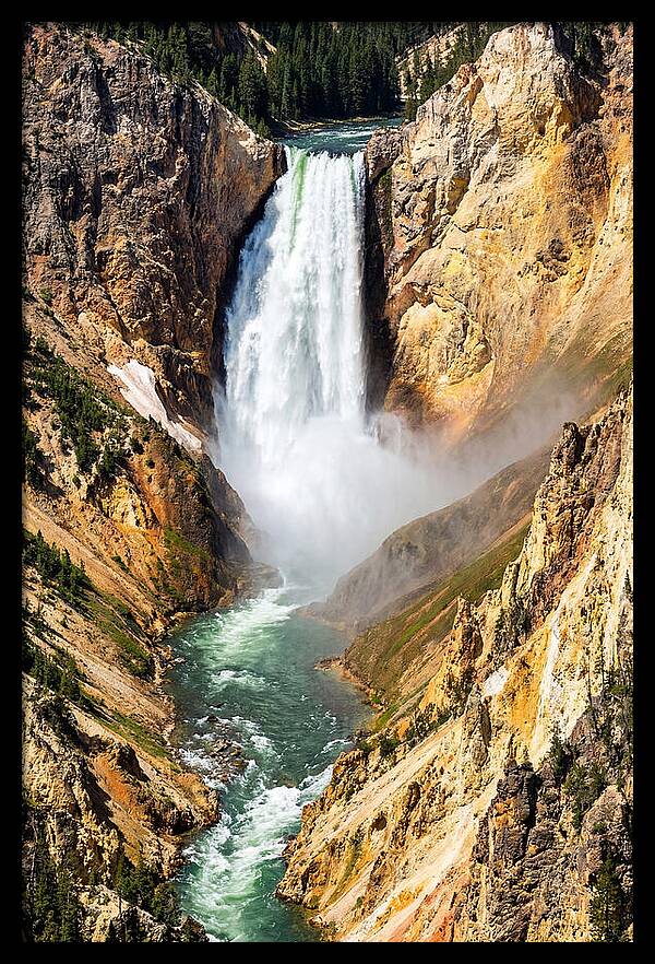 Lower Falls Of The Yellowstone