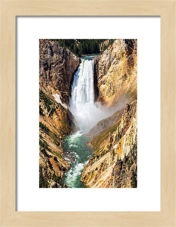 Lower Falls Of The Yellowstone