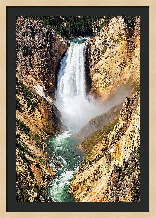 Lower Falls Of The Yellowstone