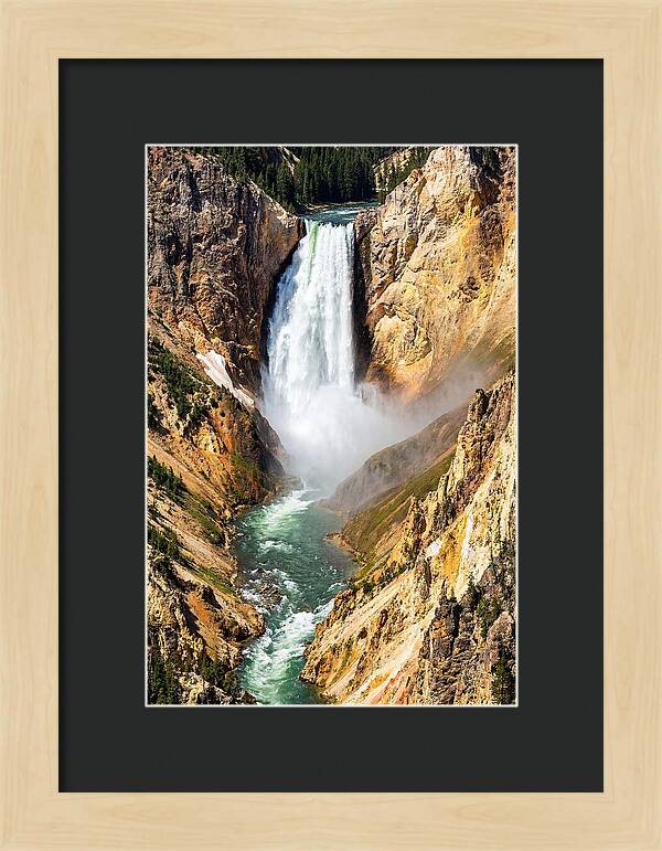 Lower Falls Of The Yellowstone