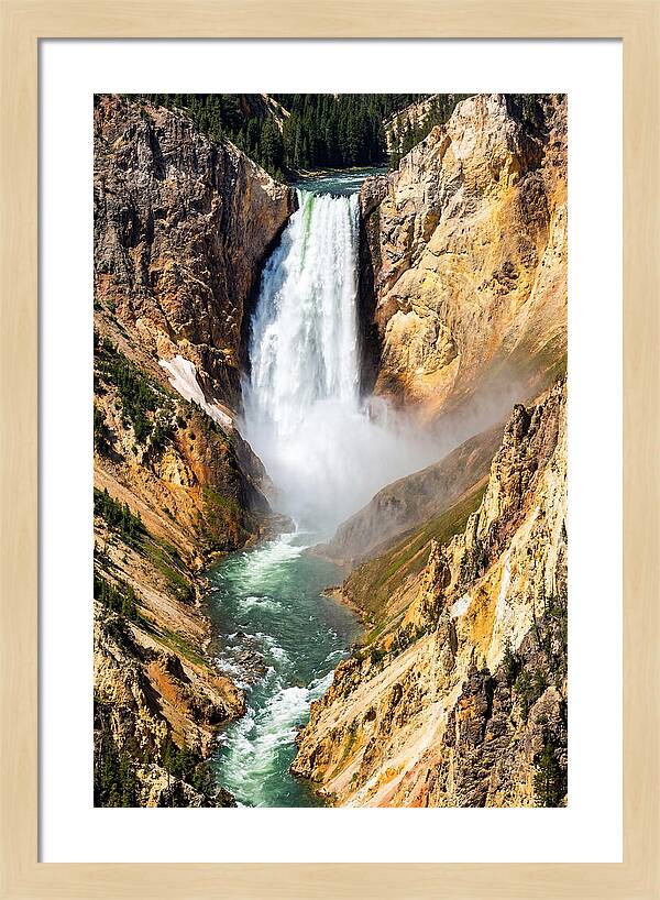 Lower Falls Of The Yellowstone