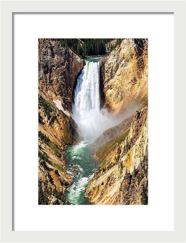 Lower Falls Of The Yellowstone