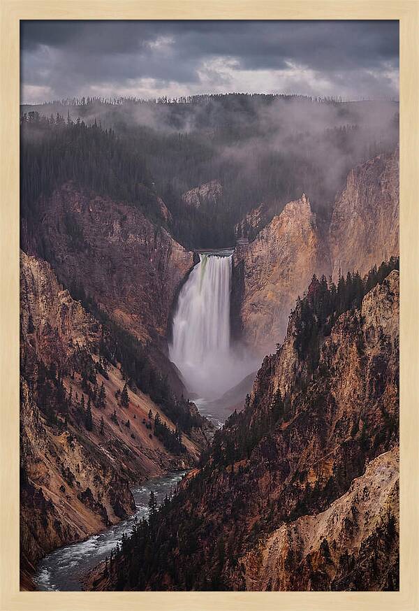 Lower Falls Of Yellowstone
