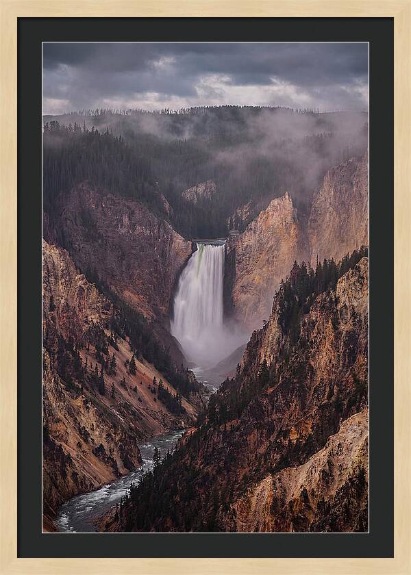 Lower Falls Of Yellowstone