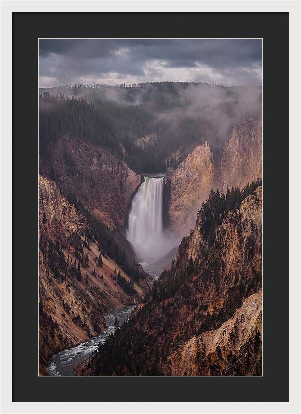 Lower Falls Of Yellowstone
