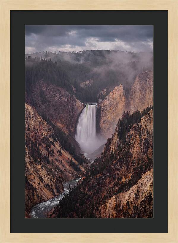Lower Falls Of Yellowstone