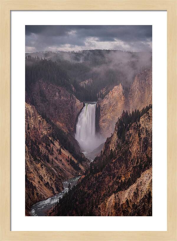 Lower Falls Of Yellowstone