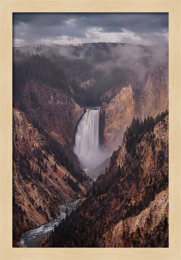 Lower Falls Of Yellowstone
