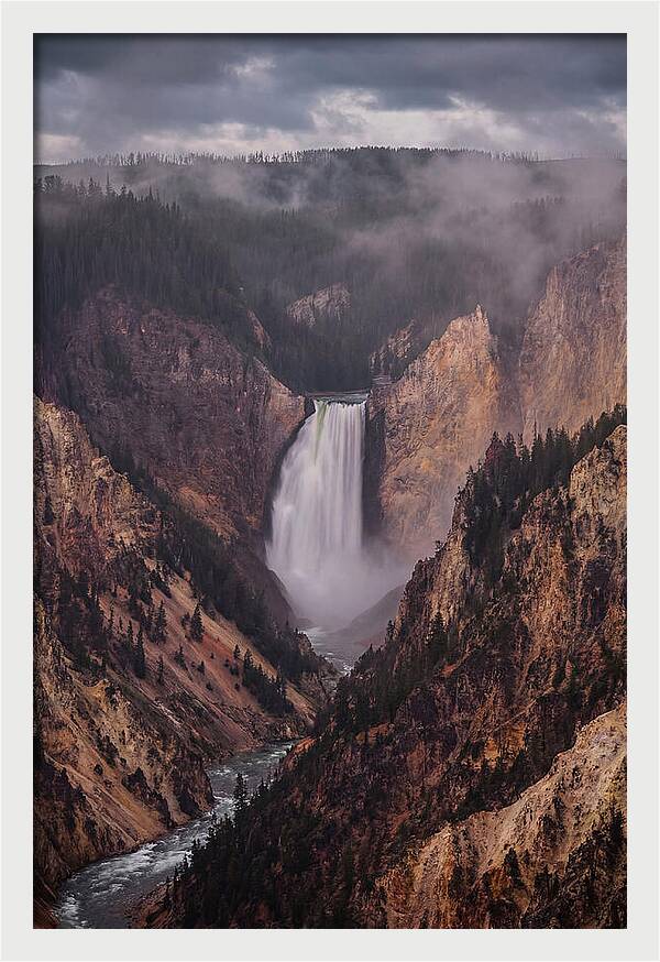 Lower Falls Of Yellowstone