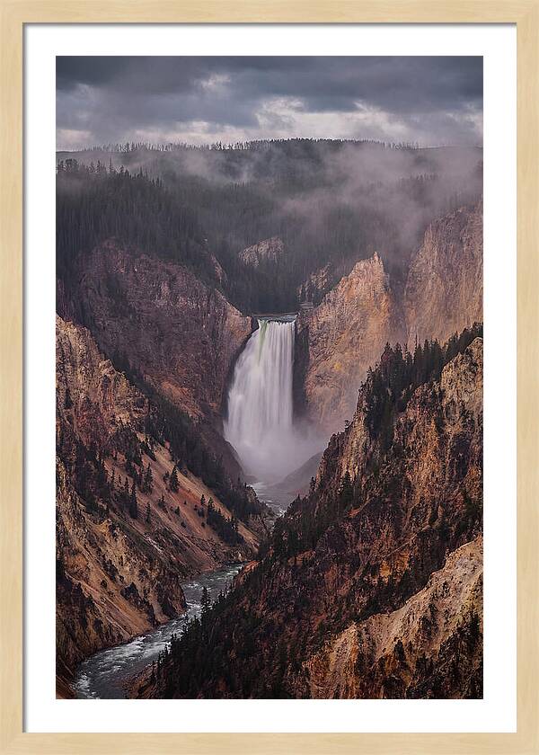 Lower Falls Of Yellowstone