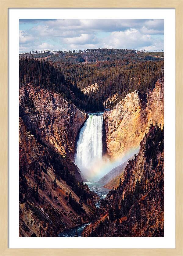 Lower Falls Of Yellowstone National Park