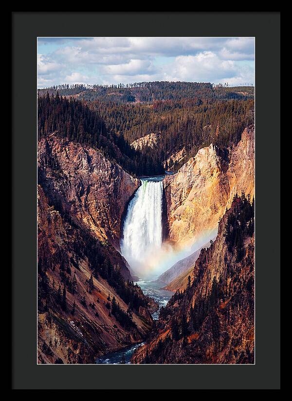 Lower Falls Of Yellowstone National Park