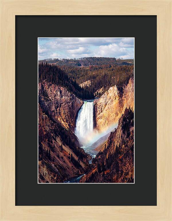 Lower Falls Of Yellowstone National Park