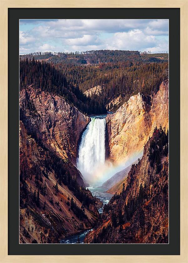 Lower Falls Of Yellowstone National Park