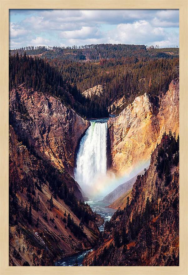 Lower Falls Of Yellowstone National Park