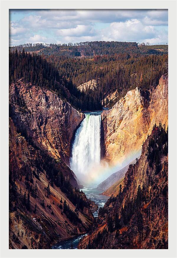 Lower Falls Of Yellowstone National Park