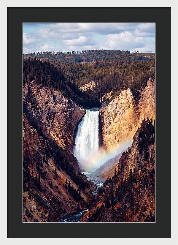 Lower Falls Of Yellowstone National Park