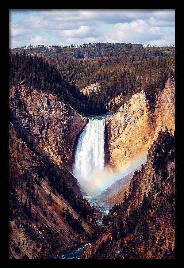 Lower Falls Of Yellowstone National Park