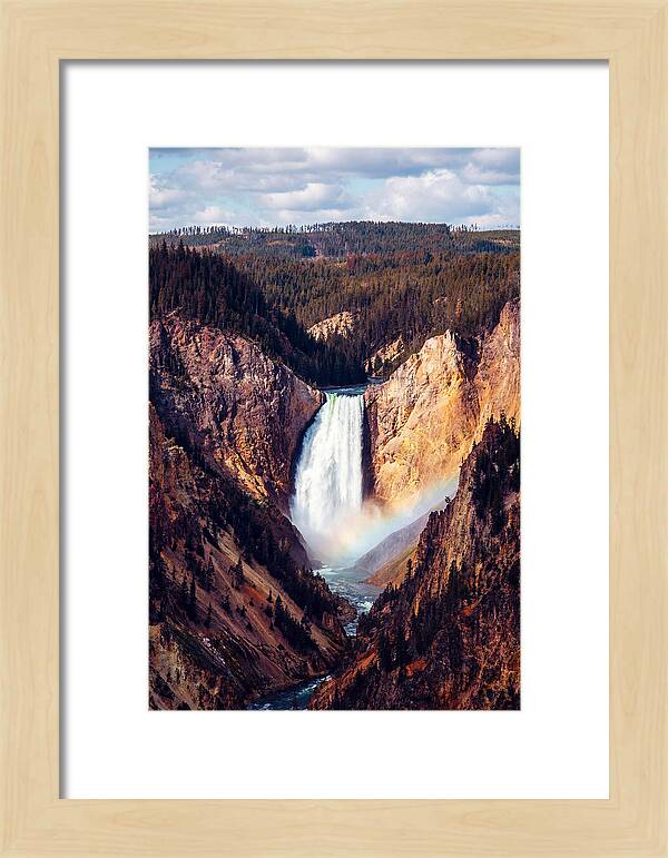Lower Falls Of Yellowstone National Park