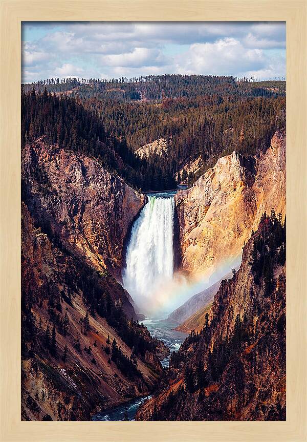 Lower Falls Of Yellowstone National Park