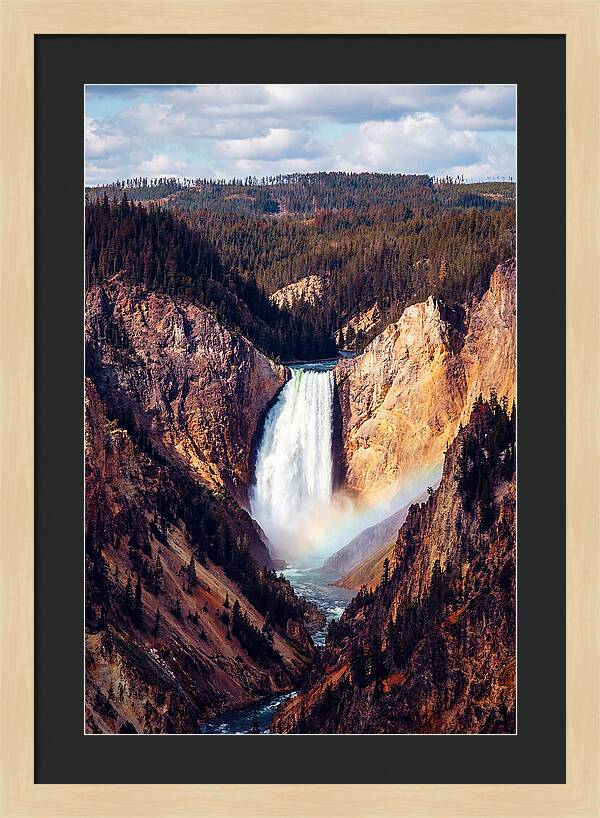 Lower Falls Of Yellowstone National Park