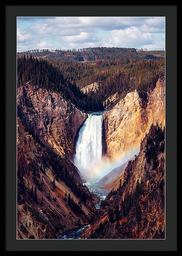 Lower Falls Of Yellowstone National Park