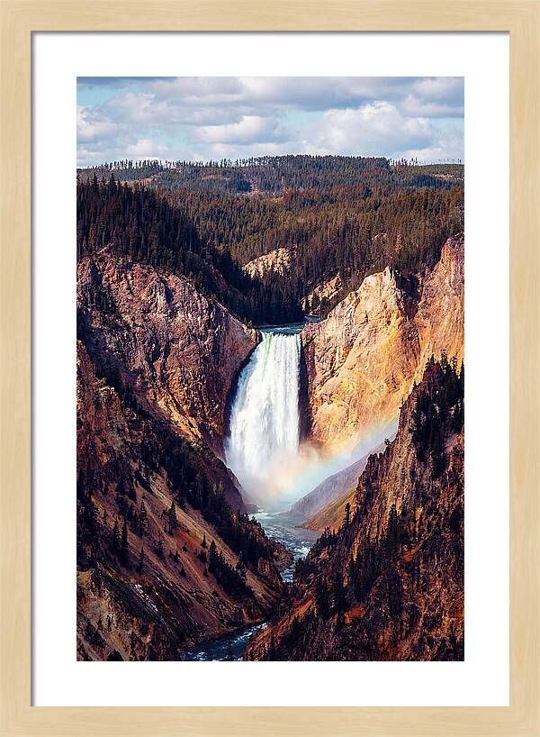 Lower Falls Of Yellowstone National Park