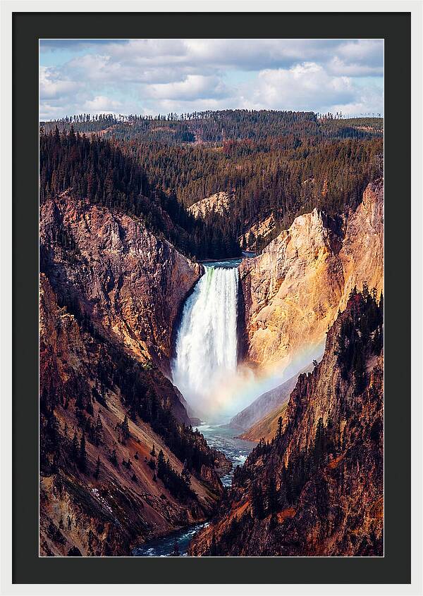 Lower Falls Of Yellowstone National Park