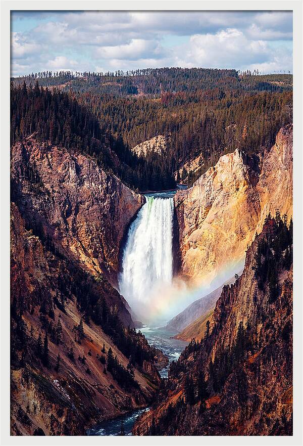 Lower Falls Of Yellowstone National Park