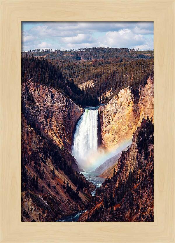 Lower Falls Of Yellowstone National Park