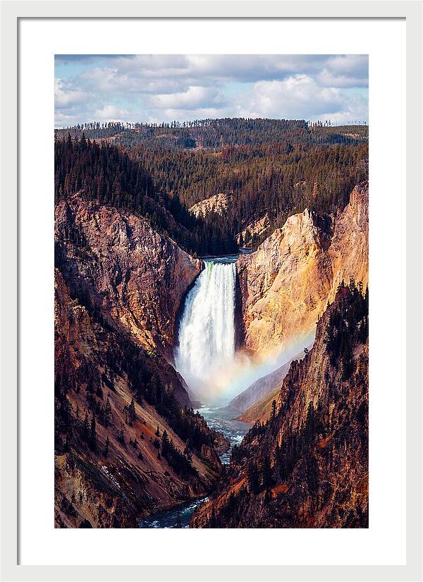 Lower Falls Of Yellowstone National Park