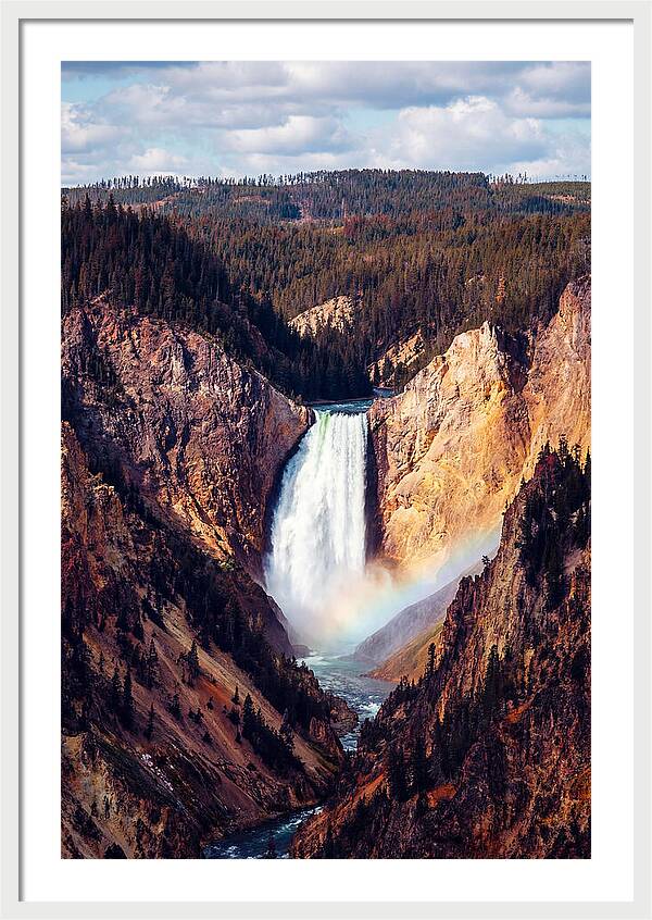 Lower Falls Of Yellowstone National Park