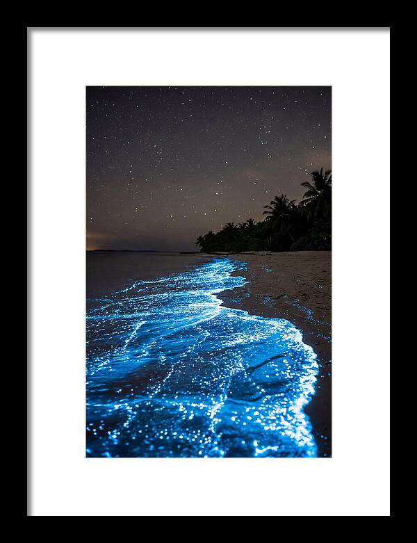 Luminous Tides Beneath Celestial Skies