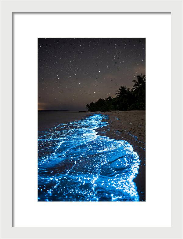 Luminous Tides Beneath Celestial Skies