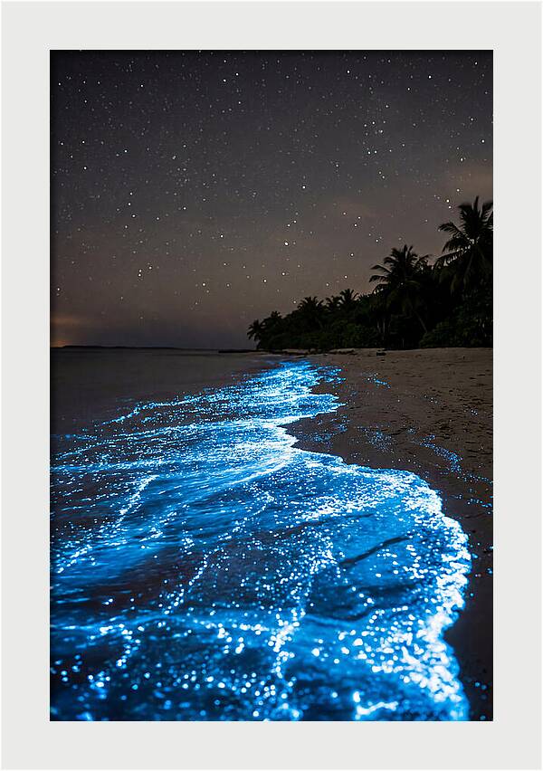 Luminous Tides Beneath Celestial Skies