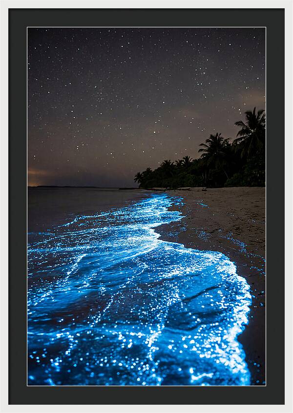 Luminous Tides Beneath Celestial Skies