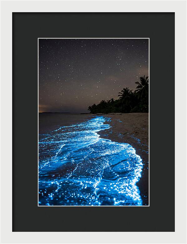 Luminous Tides Beneath Celestial Skies