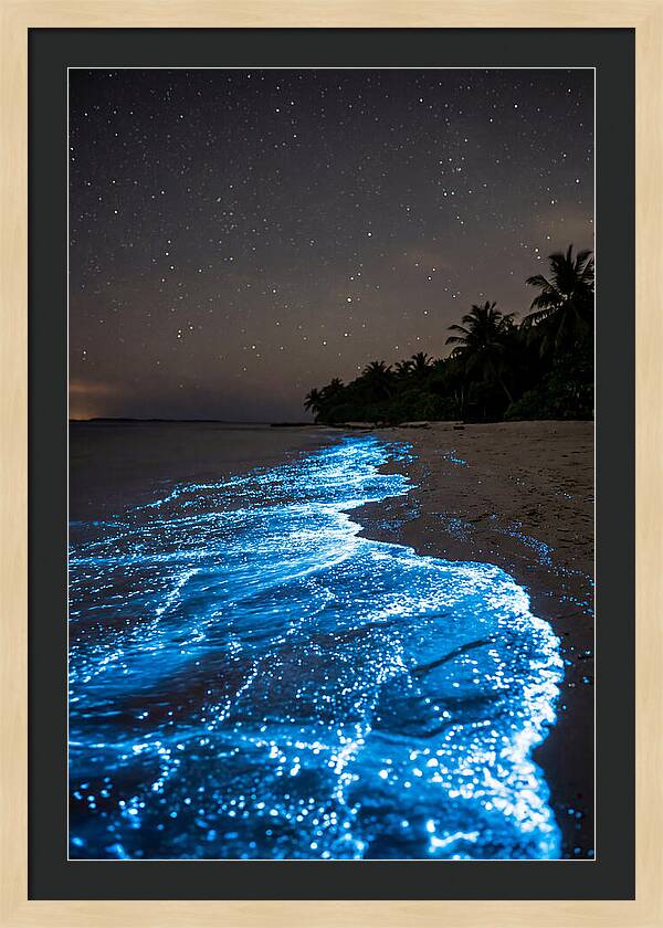 Luminous Tides Beneath Celestial Skies