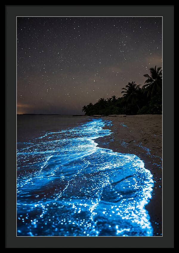 Luminous Tides Beneath Celestial Skies