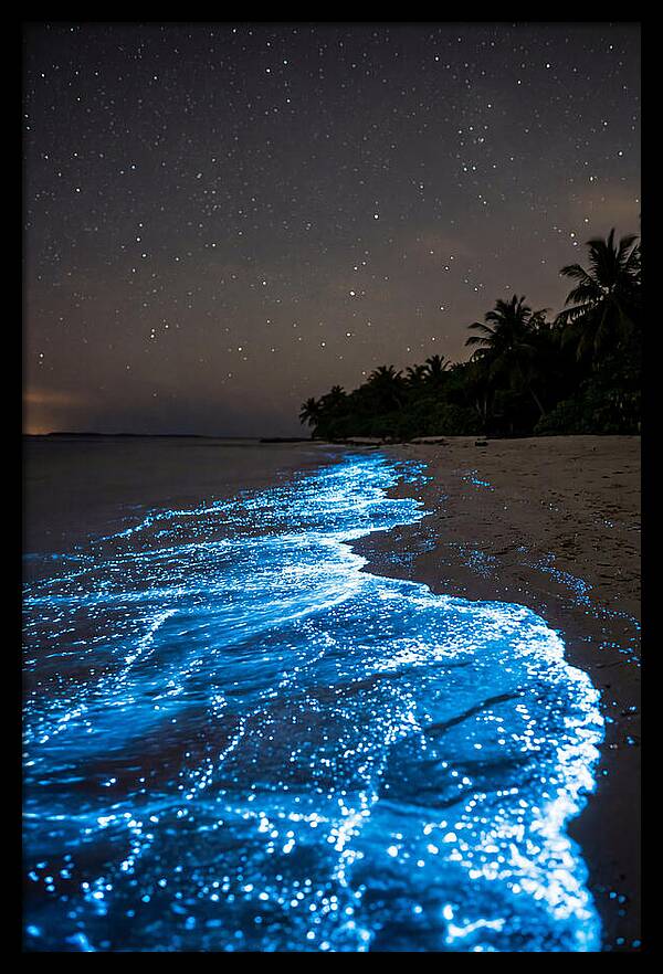 Luminous Tides Beneath Celestial Skies